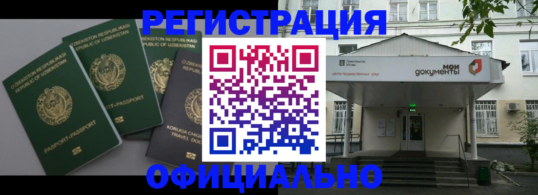 прописка 2025 в Елизово